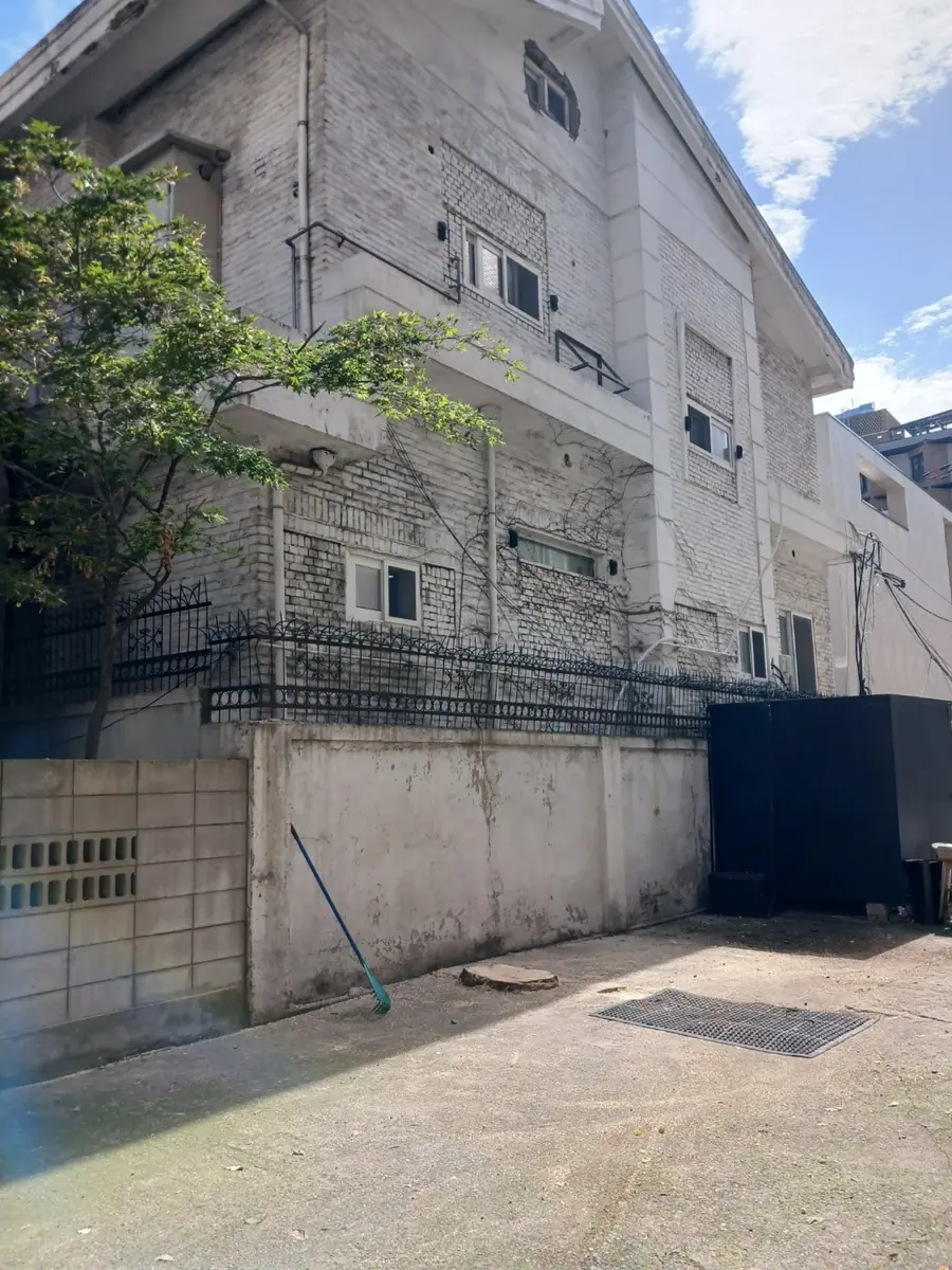 마포구 주차장 은행나무 벌목 이후