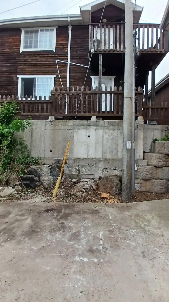포천시 전봇대 주변 나무와 덩굴 제거 이후