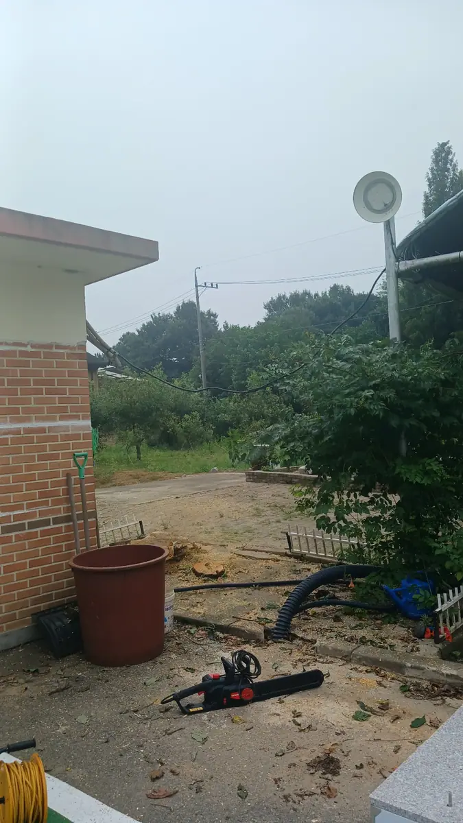 화성시 주차장 나무 벌목 이후